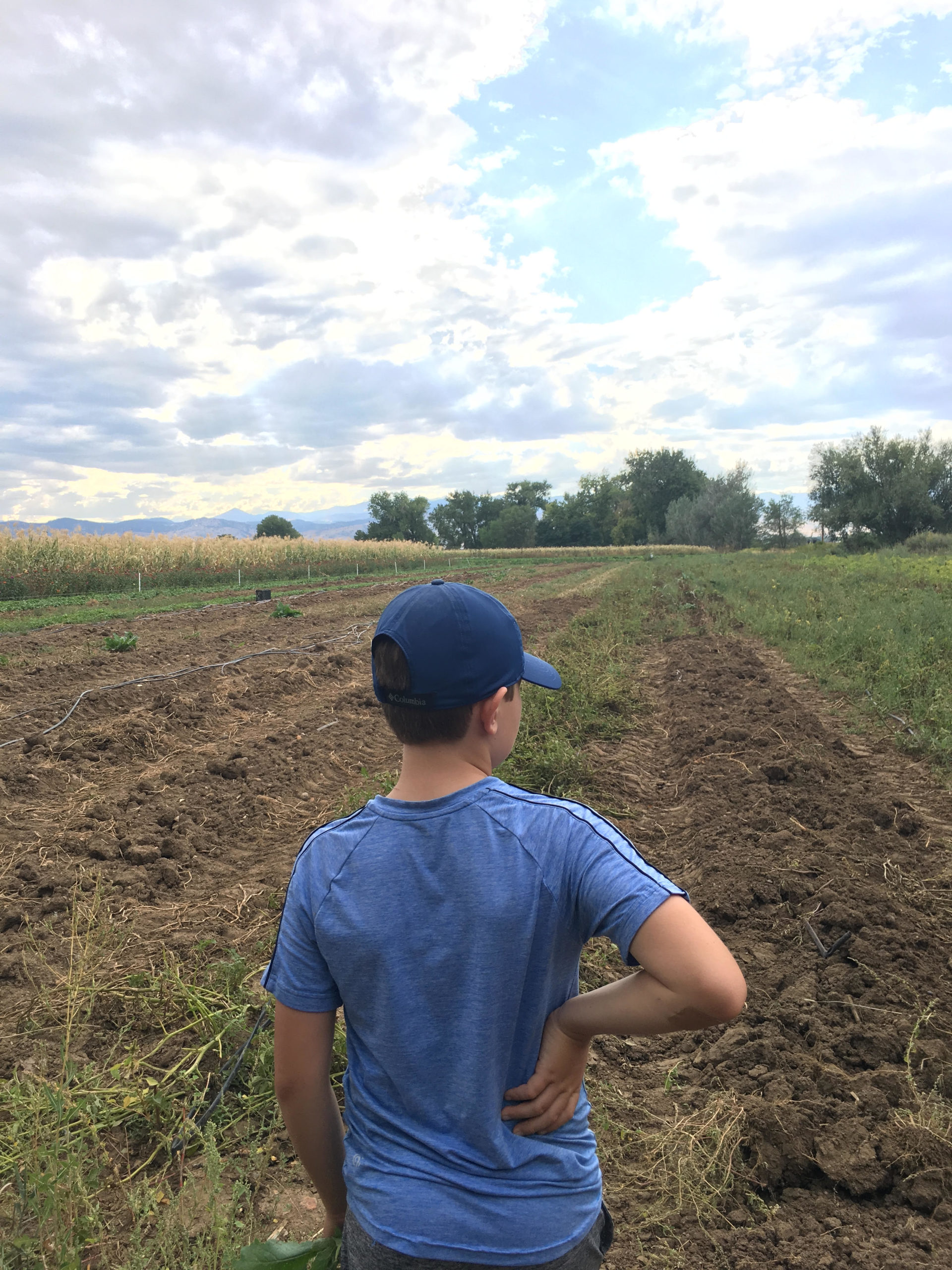 field